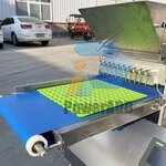 Marshmallow Extruding Machine Manufacturer - Automatic Columnar for Cotton Candy Production Line