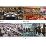 Meat Processing Machine Manufacturer - Poweradd Fully Automatic Stainless Steel 200kg Capacity