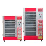 Food Dehydrator Manufacturer - Automatic for Fruits Vegetables Spinach Lettuce Cabbage Drying
