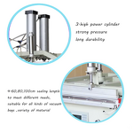 Vacuum Sealer Manufacturer - for Food Fish Meat Automatic Packing Sealing