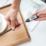 Digital Thermometer Manufacturer - with Probe for Air Conditioning Heaters Soil Spa Swim Pool