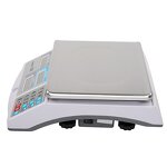 Electronic Counting Scales Manufacturer - Good Price Industrial Board Counter Weight