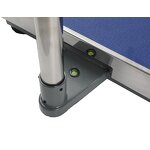 Bench Electronic Platform Scale Manufacturer - 300-600kg Digital Weighing with Printer