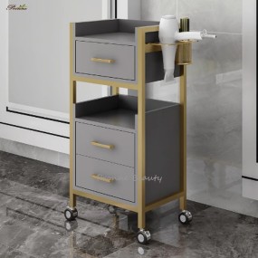 Manicure Tool Trolley Manufacturer - Luxury Iron Art Salon Trolleys Mobile Multi-layer Storage Rack Modern