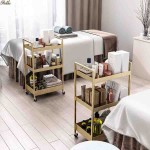 Beauty Salon Trolley Manufacturer - High Grade Embroidered Eyelashes Nail Salon Special Tools Storage Mobile Shelf