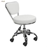 Office Work Tech Chair Factory - Pronne Fashion Modern Casual Lift Master Chair Beauty Salon Chair Black