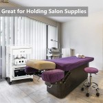 Swivel Rolling Stool Factory - Nail Salon Multi-function Round 360° Comfortable Pedicure Low Stool