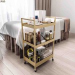 Beauty Salon Trolley Manufacturer - High Grade Embroidered Eyelashes Nail Salon Special Tools Storage Mobile Shelf