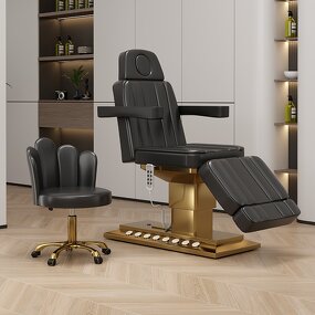Beauty Salon Chair Manufacturer - Electric Eyelash Bed with Gold Base