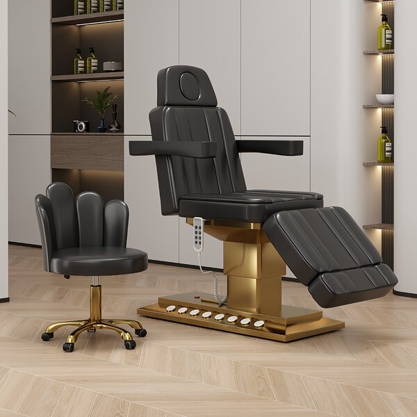 Beauty Salon Chair Manufacturer - Electric Eyelash Bed with Gold Base