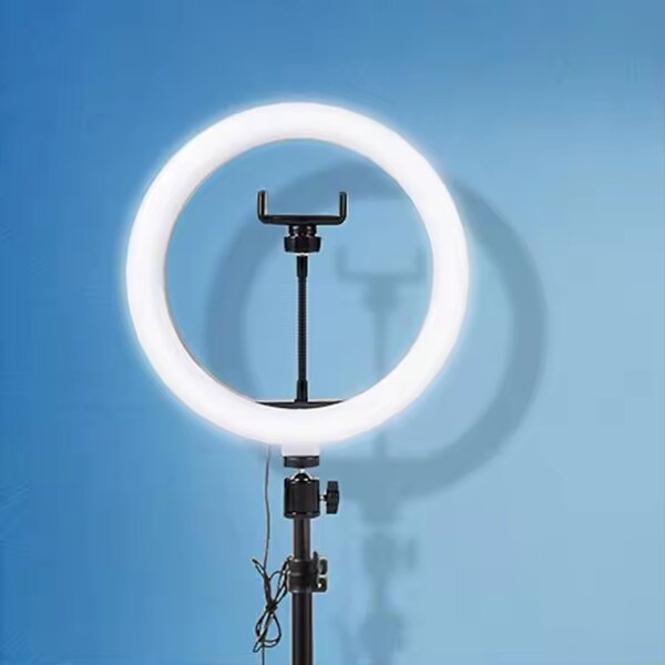 Ring Light Manufacturer - 6/8/10/12 Inch for Selfie & Photography