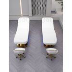 Massage Table Manufacturer - Custom 4 Motors with Electric Heating