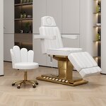 Beauty Salon Chair Manufacturer - Electric Eyelash Bed with Gold Base