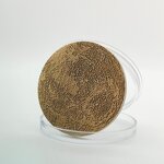 Ceramic Vase Manufacturer - Modern for Living Room Decoration