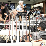 Eyebrow Brush Manufacturer - 2 in 1 Dual-Ended Mascara & Angled Brow