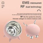 Facial Machine Manufacturer - High Frequency RF & EMS LED Photon Handheld with USB