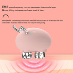 Facial Machine Manufacturer - High Frequency RF & EMS LED Photon Handheld with USB