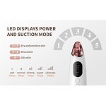 Hair Straightener Manufacturer - 2021 New Customizable Mini Electric with LCD Display