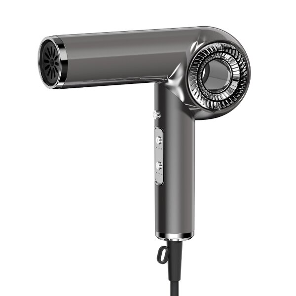 Hair Dryer Manufacturer - Professional Compact Foldable 1800W BLDC Ionic for Travel