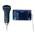 Ultrasound Probe - Factory Price Medical Healson C30C Convex Handheld