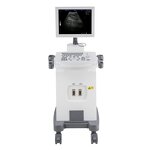 Mobile Ultrasound Machine - 15 Inch LED Screen for Physical Therapy Digital Scan