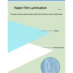 Dental Bib - 2Ply Waterproof Disposable 50x60cm Medical for Tattoo Beauty