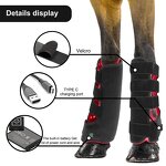 Pet Therapy Device - Red Light Infrared for Horse Leg Muscle Pull Wound Recovery