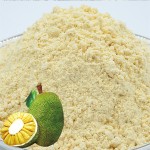 菠萝蜜粉生产商-冻干纯草本提取