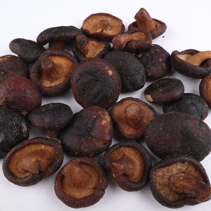 Shiitake Mushroom Factory - VF Dried Natural Mushroom Snacks