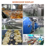 Shiitake Mushroom Factory - VF Dried Natural Mushroom Snacks