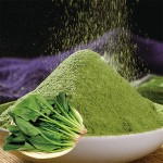 菠菜粉生产商-可定制冻干绿色粉