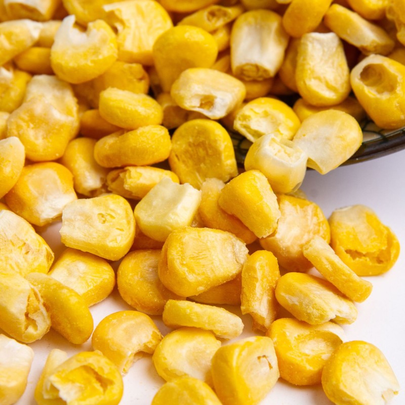 Corn Manufacturer - Freeze Dried Sweet Corn Bulk Supply