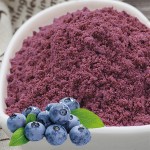 Blueberry Powder Factory - Freeze Dried Water Soluble Extract