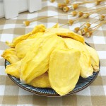 Jackfruit Manufacturer - Freeze Dried Natural Sweet Fruit