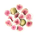 无花果生产商-冻干脆甜零食
