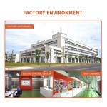 Water Chestnuts Factory - Freeze Dried No Additives Dices