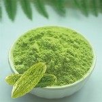 Bitter Melon Powder Manufacturer - Freeze Dried Organic Extract