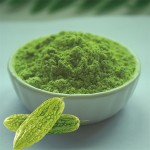 Bitter Melon Powder Manufacturer - Freeze Dried Organic Extract
