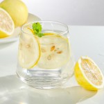 Lemon Slices Manufacturer - OEM Freeze Dried Honey Lemon Tea