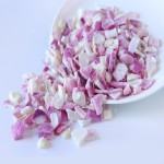 Onion Granules Manufacturer - Freeze Dried Instant Vegetables