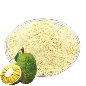 Jackfruit Powder Manufacturer - Freeze Dried Pure Herbal Extract