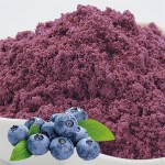 Blueberry Powder Factory - Freeze Dried Water Soluble Extract