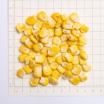 玉米生产商-冻干甜玉米批发供应