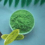 Bitter Melon Powder Manufacturer - Freeze Dried Organic Extract