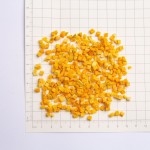 Pumpkin Manufacturer - OEM Freeze Dried Pet Food Flakes