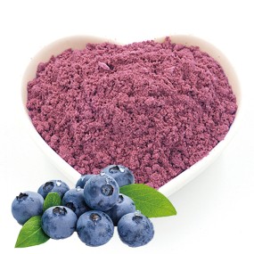 Blueberry Powder Factory - Freeze Dried Water Soluble Extract