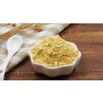 芒果粉工厂-冻干水溶性提取