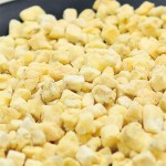 Banana Cubes Factory - OEM Freeze Dried Vegan Dog Treats