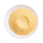 南瓜粉工厂-冻干甜蔬菜粉