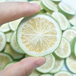 柠檬片生产商-冻干香水柠檬VC茶